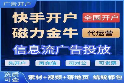 某品牌SEM广告投放效果全解析